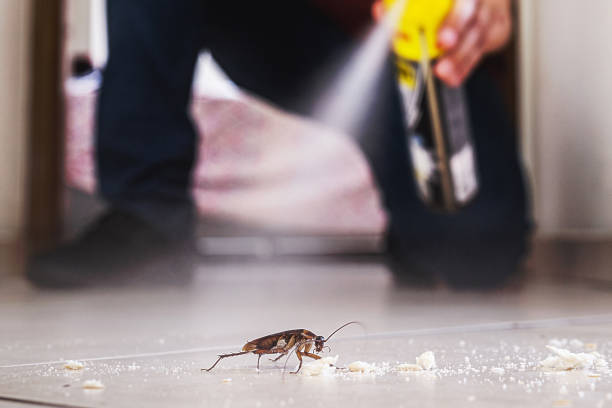 Insect Control in Medulla, FL